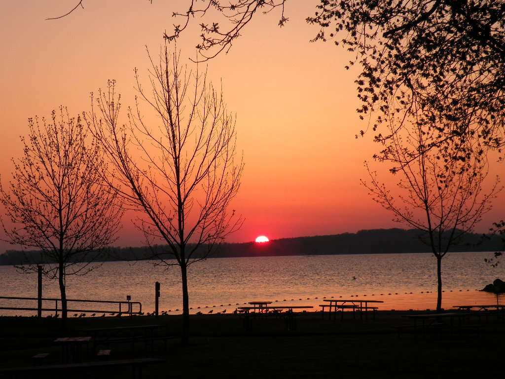 DSCN4111_20100118114009