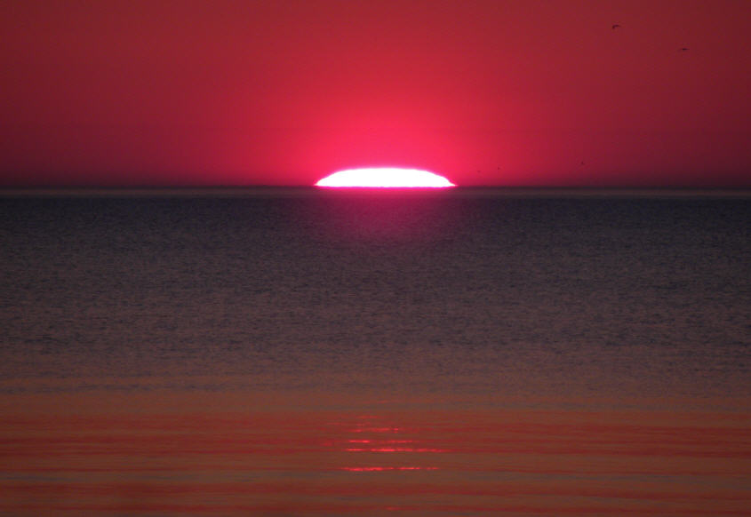 Kohler-Andrae11_20110619103054