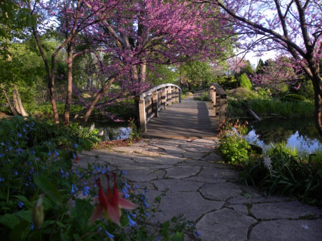 My Wisconsin Space Footbridge To The Rock Garden Olbrich