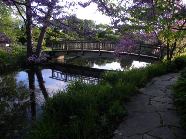 My Wisconsin Space Footbridge To Rock Garden Olbrich Botanical