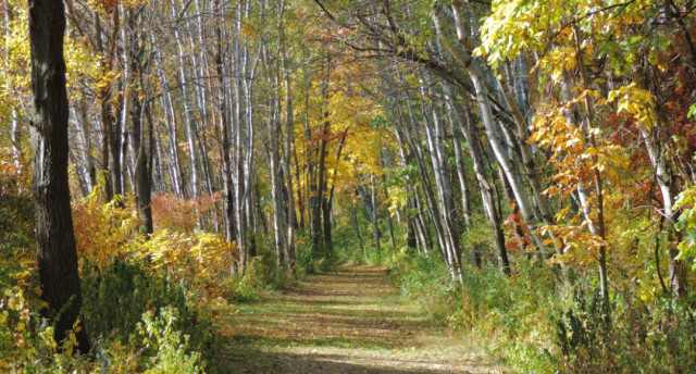 Fall Trail, Capital Springs State Recreation Area - Madison, Wisconsin