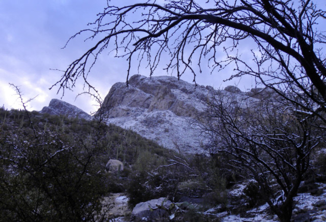 Linda Vista Trail, Pusch Ridge Wilderness - Tucson, Arizona