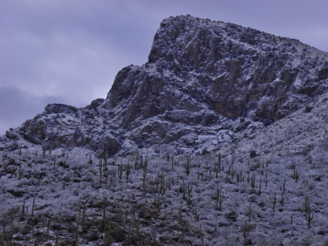 Pusch Ridge in Winter, Coronado National Forest - Tucson, Arizona