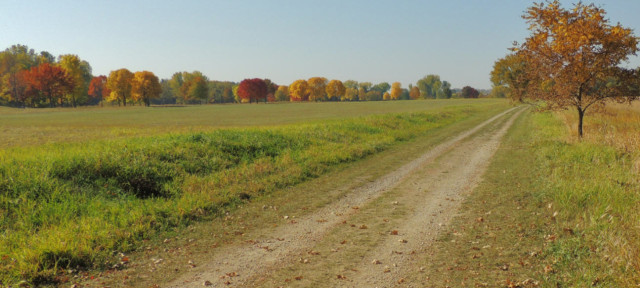 Trail from Group Campsite, Capital Springs State Recreation Area - Madison, WI