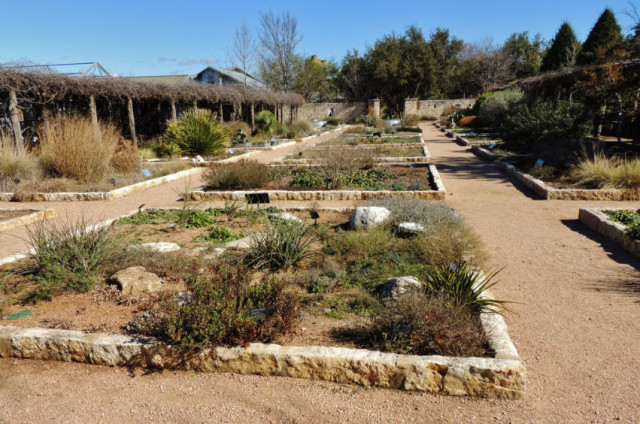 Display Gardens, Lady Bird Johnson Wildflower Center - Austin, TX