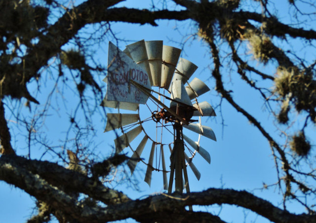 Windmill at the Lady Bird Johnson Wildflower Center - Austin, Texas