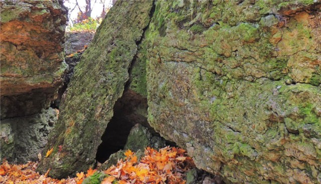 Limestones, Ledge County Park