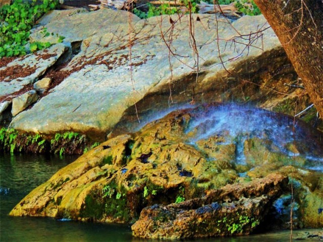 Bottom of Waterfall, Hamilton Pool