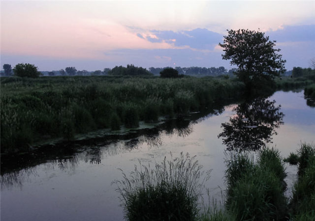 Wetland Twilight, Dane County