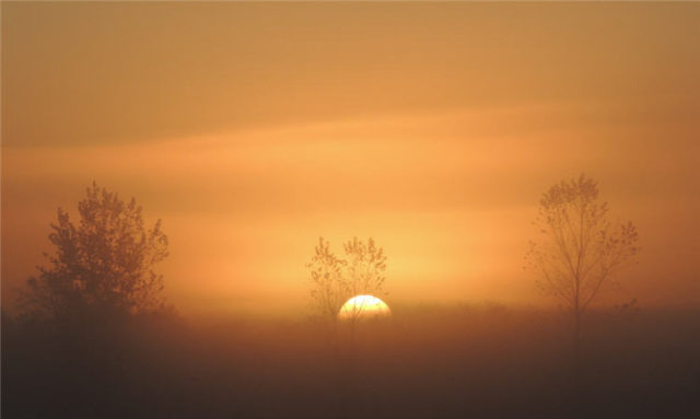 Sunrise in Fog, chippewa-county