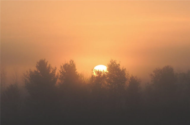 Foggy Sunrise, chippewa-county