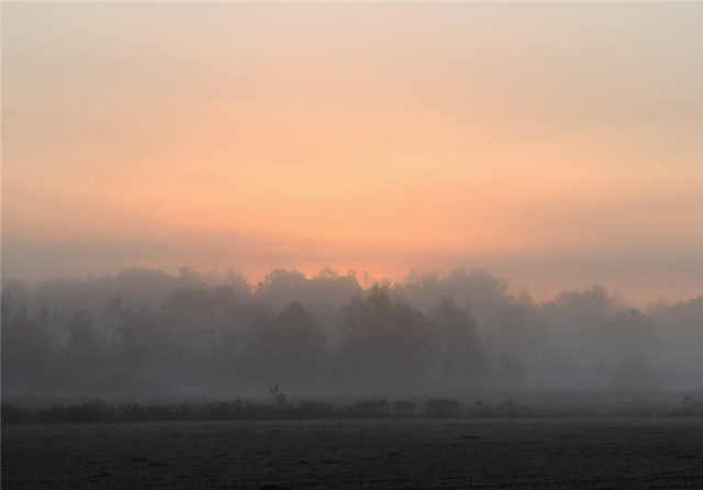 Morning Twilight, chippewa-county