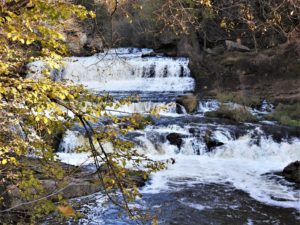 Willow Falls Through the Trees, Willow Falls State Park – Hudson, WI ...